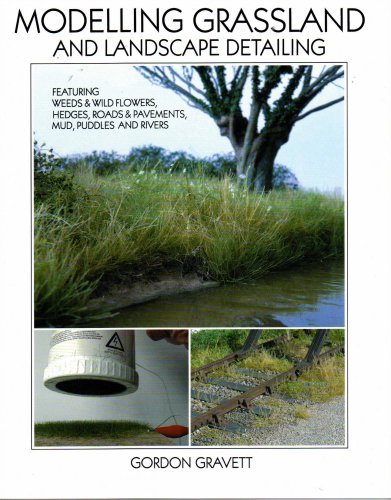 Wild Swan Publications